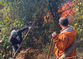 Artvin'deki örtü yangını ormana yayıldı