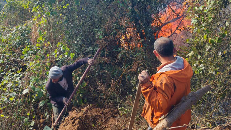 Artvin'deki örtü yangını ormana yayıldı