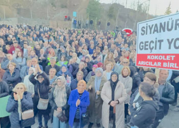 Artvin'de siyanür havuzlarına tepki