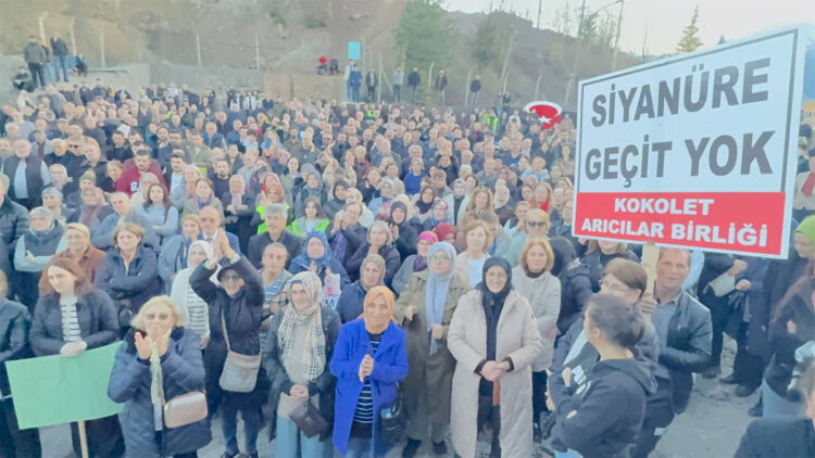 Artvin'de siyanür havuzlarına tepki