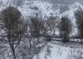 Adana'nın yükseklerine kar yağdı