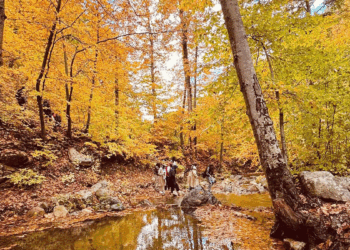 Amanos Dağları'nda sonbahar manzarası