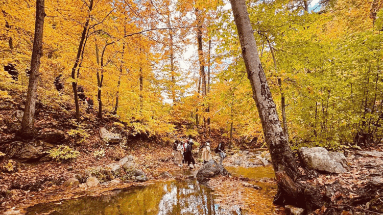 Amanos Dağları'nda sonbahar manzarası