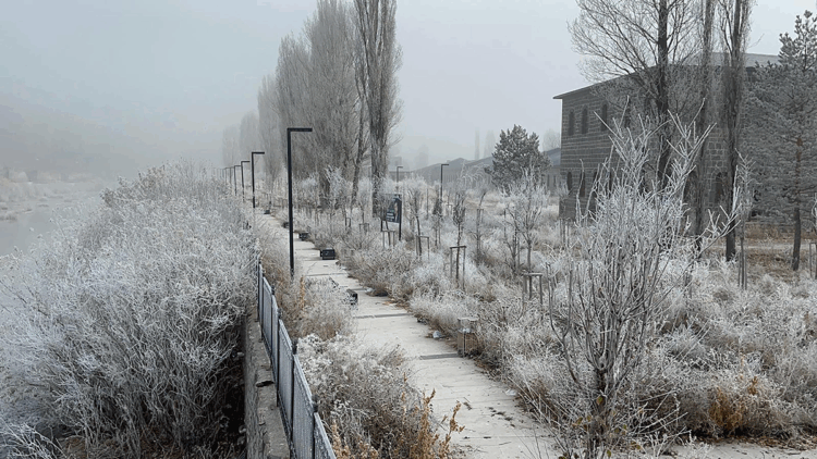 Ardahan'da sis ve kırağı etkili oldu
