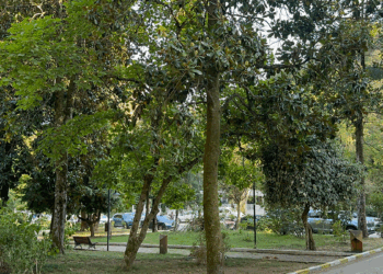 Atatürk'ün mirası 96 yıllık arboretum, ziyaretçilerini etkiliyor