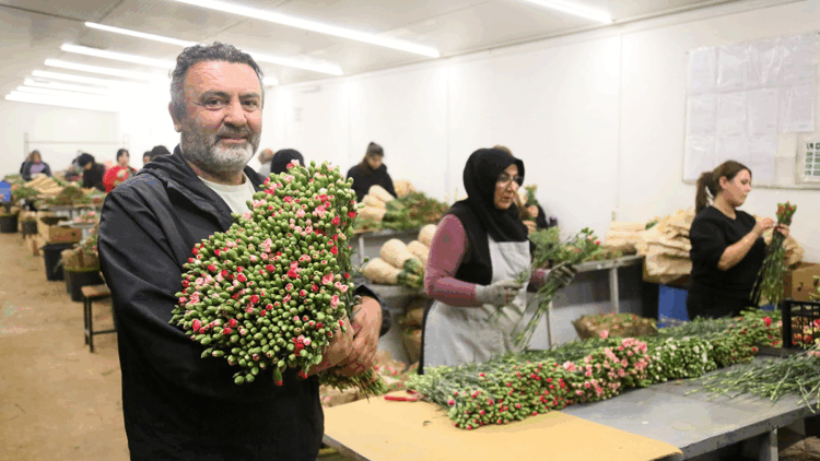 Avrupa ülkelerine 12 milyon dolarlık yılbaşı çiçeği