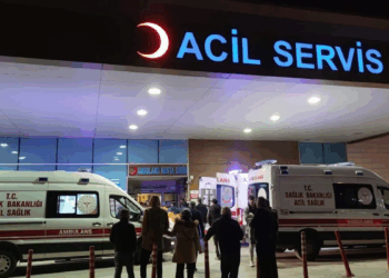 Aydın'da mantar yiyen 2 kişi hastanelik oldu
