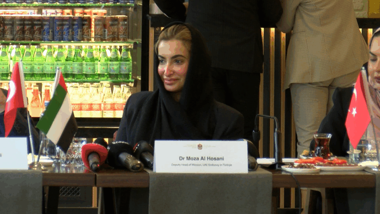 BAE kültürü, Ankara'da tanıtılacak