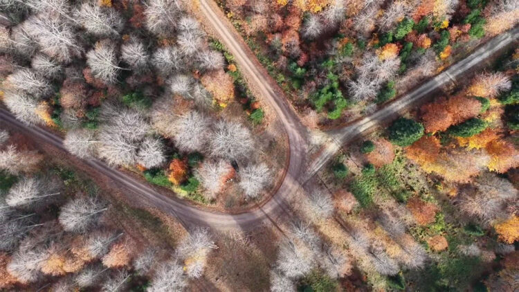 Mengen'de sonbahar güzelliği