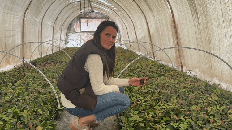 Baba mesleğini süs bitkileri ihracatı ile sürdürüyor