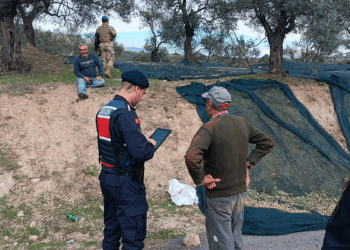 Balıkesir'de zeytin hırsızlığına karşı jandarma ve komandolar sahada