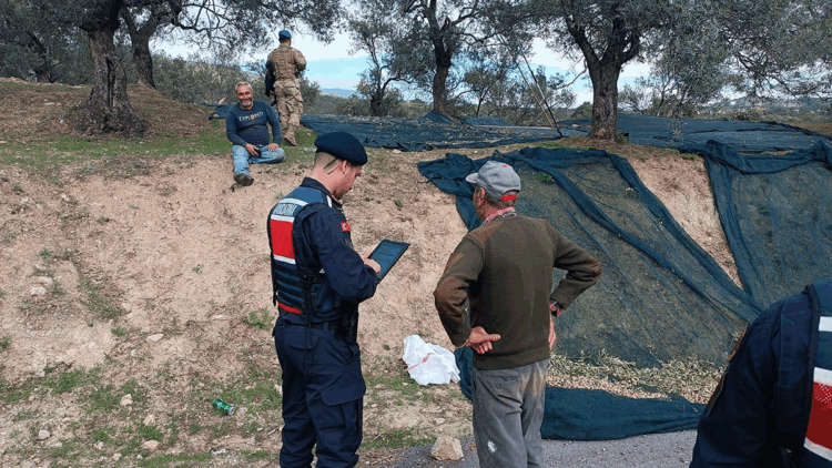 Balıkesir'de zeytin hırsızlığına karşı jandarma ve komandolar sahada