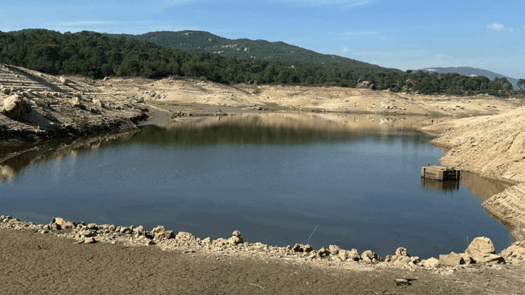 Bodrum'da alarm! İlçeye su sağlayan barajlar ölü hacme düştü