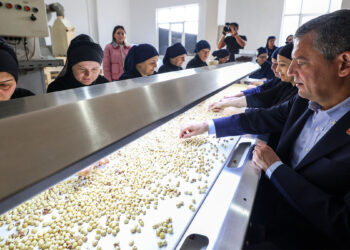 Fındık üreticisini de Ordu'yu da ayağa kaldıracağız