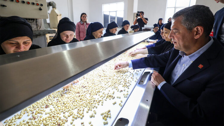 Fındık üreticisini de Ordu'yu da ayağa kaldıracağız