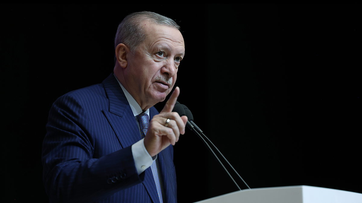 Cumhurbaşkanı Erdoğan, "Sosyal medyanın köpürttüğü toplumsal gerilimden beslenen siyasetçilerin de büyüttüğü bu cepheleşmenin en büyük mağduru bizatihi Gazi Mustafa Kemal olmakta, Atatürk’ün hatırası ve eserleri olmaktadır" dedi.