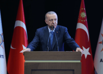 Cumhurbaşkanı Erdoğan, Güney Afrika Cumhuriyeti'ne gidecek