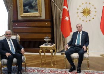 Cumhurbaşkanı Erdoğan, HÜDA PAR lideri Yapıcıoğlu'nu kabul etti