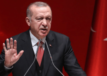 Cumhurbaşkanına hakaret içerikli paylaşımlarla ilgili işlem başlatıldı