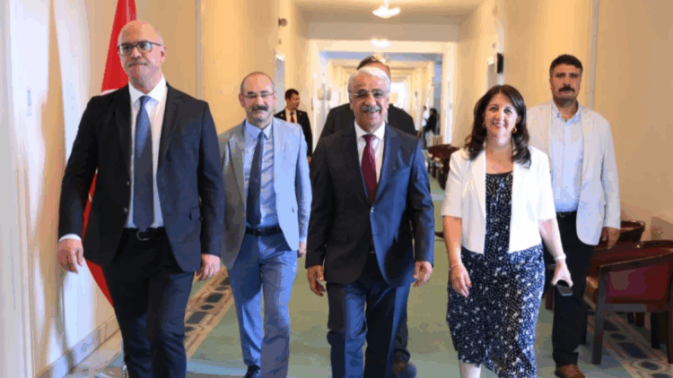 DEM Parti heyeti, PKK elebaşı Öcalan ile görüşecek