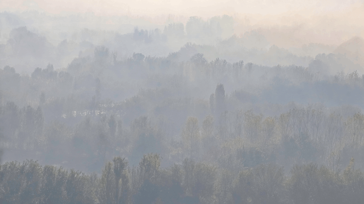 Dicle Vadisi'nde sis manzaraları
