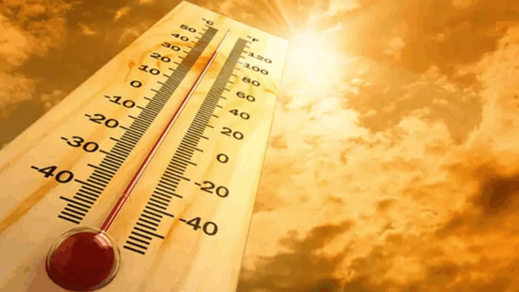 Ekimde en yüksek sıcaklık Cizre'de tespit edildi