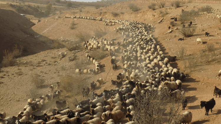 Göçerlerin zorlu yolculuğu başladı