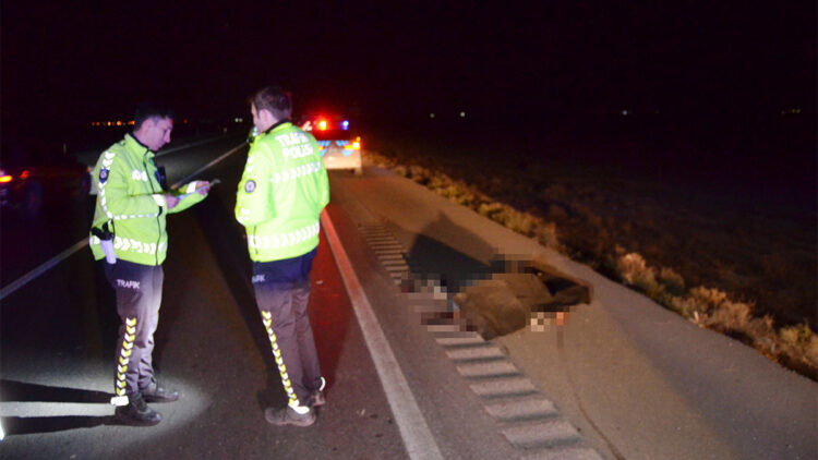 Hakkında kayıp ihbarında bulunulan Bayram Ali kazada öldü