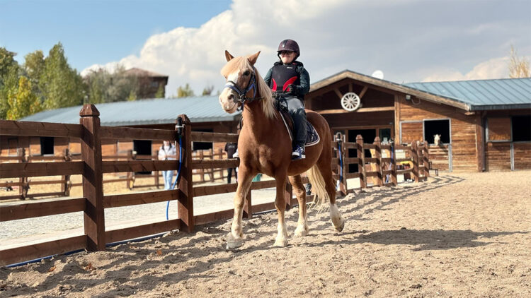 Hippoterapi ile özel gereksinimli bireyler şampiyonalara hazırlanıyor