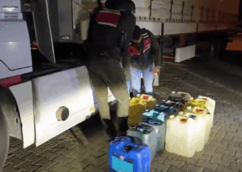 Hakkari ve Ağrı'da yüklü miktarda uyuşturucu ele geçirildi: 1 gözaltı