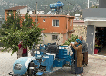 Hatay'da köylülerin geçim kaynağı defne çalılarında mesaisi başladı