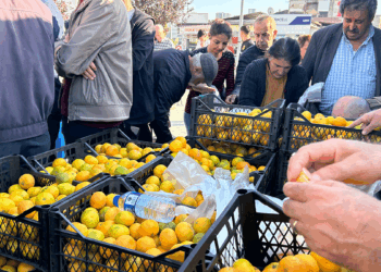 Hatay'da üreticiler, alıcı çıkmayan tonlarca mandalinayı ücretsiz dağıttı