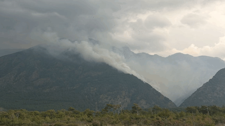 Hatay'da yıldırım düşmesi orman yangınına neden oldu