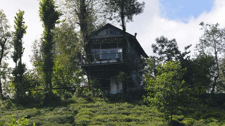 İki kardeş, atık malzemeden manzaralı ağaç ev yaptılar