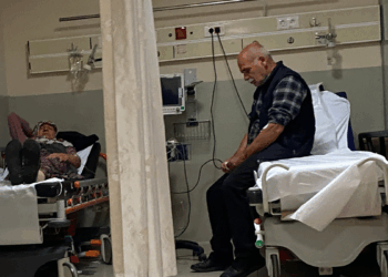 İnegöl’de 7 kişi, ormandan topladıkları mantarlardan zehirlendi