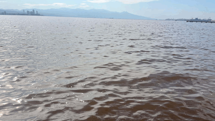 İzmir Körfezi'nde kötü koku sürüyor; denizin rengi kahverengiye döndü