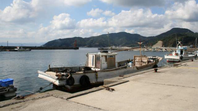 Japonya'da yangın: 170'ten fazla bina hasar gördü, 1 kişi kayıp