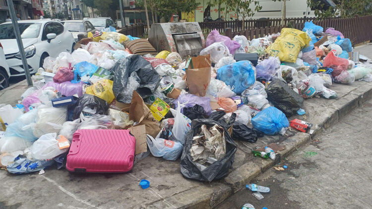 Çöp sorunu nedeniyle karasinek popülasyonu çoğaldı