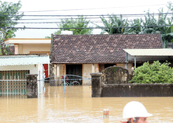 Kalmaegi Tayfunu, Vietnam'ı vurdu: 5 ölü