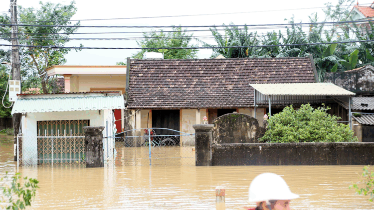 Kalmaegi Tayfunu, Vietnam'ı vurdu: 5 ölü