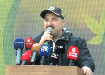 Kanunen, yanan ormanlar sadece orman yapılabilir