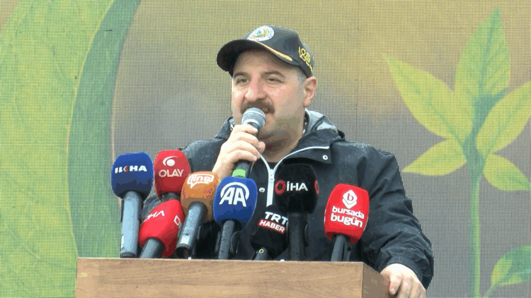 Kanunen, yanan ormanlar sadece orman yapılabilir