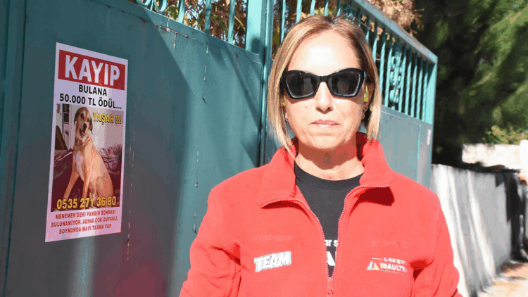 Kayıp köpeği Yaşar'ı bulana 50 bin lira verecek