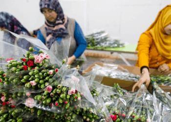 Kesme çiçekte 10 aylık ihracat rekoru