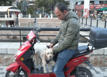 Köpeğini motosikletiyle gezdiriyor