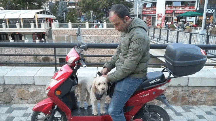 Köpeğini motosikletiyle gezdiriyor