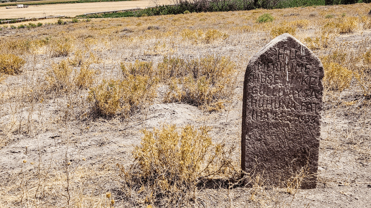 Köy mezarı yerine Çatalhöyük'e gömülen Güllü Ayşa'nın öyküsü