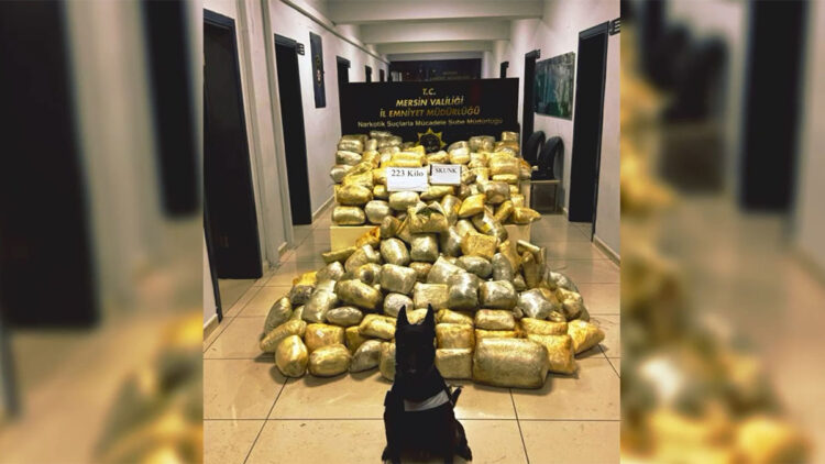 Mersin ve Erzurum'da yüklü miktarda uyuşturucu ele geçirildi: 3 gözaltı