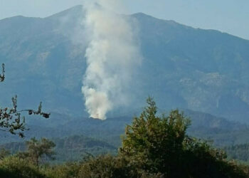 Muğla Seydikemer'de orman yangını