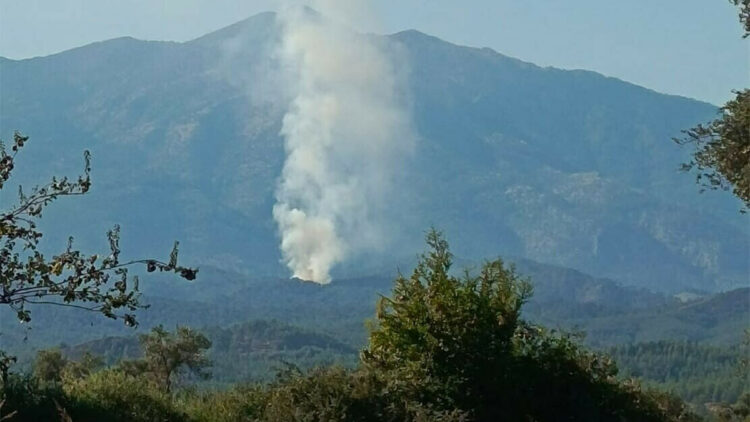 Muğla Seydikemer'de orman yangını